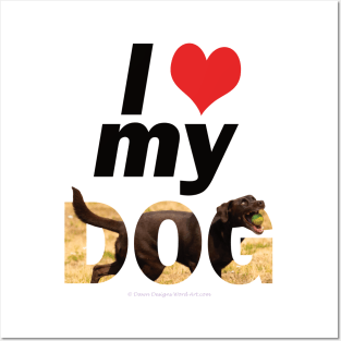 I love (heart) my dad - chocolate labrador oil painting word art Posters and Art